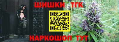 ешки Камышлов