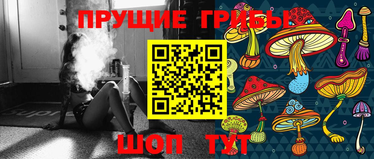 Псилоцибиновые грибы мицелий  купить наркотик  Вход с VPN  Краснознаменск  Псилоцибиновые грибы GOLDEN TEACHER 