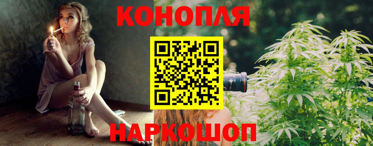 Конопля OG Kush  Вход с VPN  Конопля ГИДРОПОН  Краснознаменск 